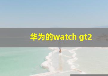 华为的watch gt2